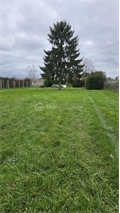 Terrain à la vente